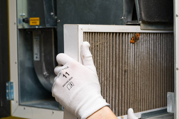 Best Professional Duct Cleaning Services  in Zachary, LA